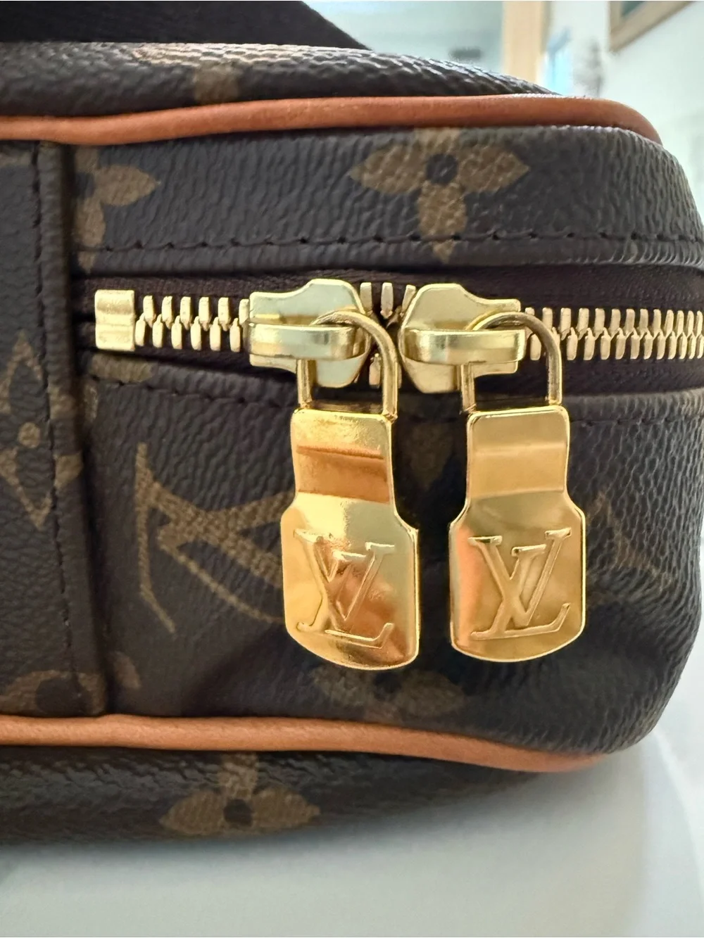 Louis Vuitton Brown Monogram Garment Cover With 2 Hangers